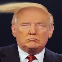 TRUMP DONALD