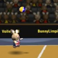 BUNNYLIMPICS VOLLEYBALL