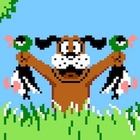 DUCK HUNT