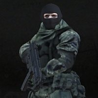 GUERILLAS.IO
