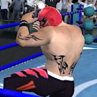 WRESTLING REVOLUTION ARENA