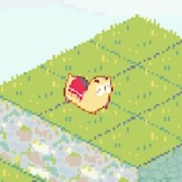 A LONELY ALPACA